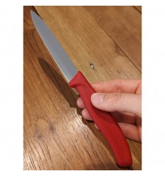 Cutit de curatat Victorinox, lama 10 cm inoxidabila