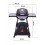 Gratar pe gaz si carbuni hibrid Char-Broil All-Star 120B TRU-Infrared grill din fonta 140881-140392